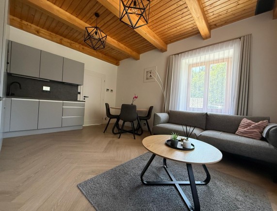 Wohnzimmer mit Küchenzeile