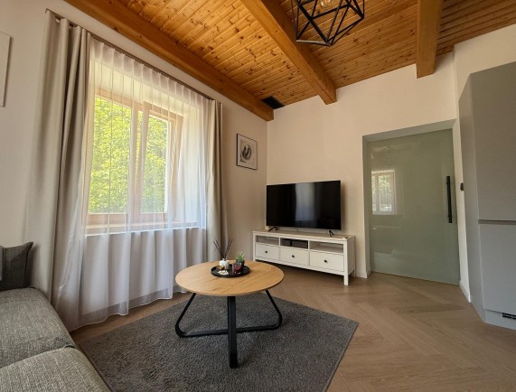 Wohnzimmer mit Küchenzeile